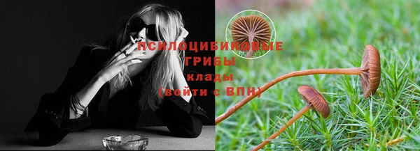 СК Новокубанск