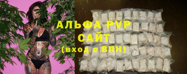 шишки Вязники