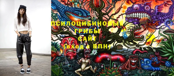 СК Новокубанск