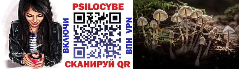 omg ТОР  даркнет сайт  Калязин  Псилоцибиновые грибы прущие грибы 