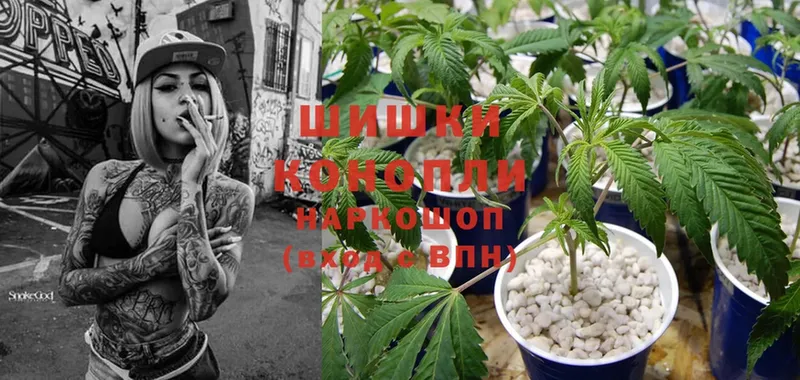 omg tor  Калязин  Бошки Шишки White Widow 